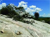 Vista geral lajedo da Furna da Onça. Foto: Rogério Valença Ferreira.