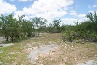 Área de afloramento a norte da estrada. Foto: Antônio José Dourado Rocha, 2015.