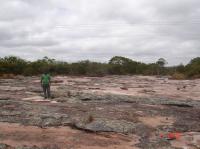 Afloramento em planta de arenitos bem selecionados de cor vermelha, com estratificação cruzada que se interceptam formando lineação que constitui um bom direcionamento de paleocorrente.Fonte: Antônio J. Dourado Rocha, 1996.