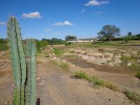 Afloramento de laminito algal