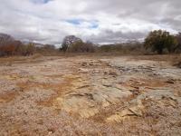 Afloramento próximo ao tanque fossilífero