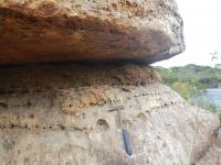 Aspecto da camada bioturbada (o recheio do sanduíche).