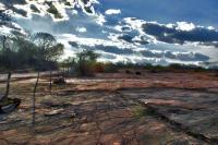 Vista geral do geossítio Floresta dos Borba, com pegadas de dinossauros Sauropoda em primeiro plano. Crédito: Rafael Costa da Silva