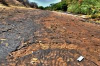 Vista geral do geossítio Tapera, com uma pista de crocodiliano em primeiro plano. Crédito: Rafael Costa da Silva