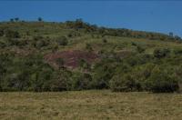 Na encosta do cerro observa-se afloramento em rocha arenítica e conglomerática da formação Pedra Pintada. Fotografia: Paula Segalla e André Studzinski, 2015.