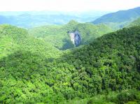 Vista do Portal da Caverna Casa de Pedra em meio ao belo relevo cárstico montanhoso, revestido de densa Mata.Foto Yukie Kabashima, cedida por Hélio Shimada.