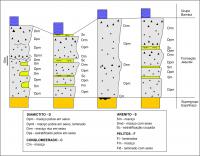 Figura 2 – Seções estratigráficas verticais da Formação Jequitaí, na sua localidade tipo, Jequitaí, MG (Compilado de (Cukrov et al. 2005). Figura anexada pelo responsável do cadastro.