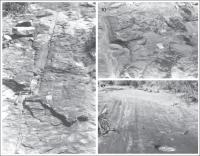 Figura 3 – a) Quartzito com marcas de onda, sobreposto por camada de diamictito pobre em clastos; b) superfície irregular com estrias glaciais e um matacão de quartzito; c) superfície contendo estrias e sulcos glaciais, sobreposto por um tilito.