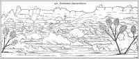 Figura 6 - Prancha extraída de Helmreichen (1846), mostrando uma vista do Córrego dos Bois para leste, assinalando o afloramento da Pedra Rica (a, b – rochedos diamantíferos) no sopé do morro. 