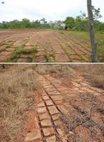 Fig. 3 - "Calçada de Pedra": pavimento regularmente fraturado de siltitos arcosianos do Grupo Bambuí. Crédito das fotos: Ulisses Cyrino Penha, Eduardo Gomes e Ronaldo Sarmento.