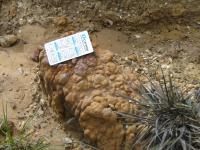 Laterita ferruinosa ao longo da trilha ao Pico do Itobira. Foto: Rogério Valença Ferreira