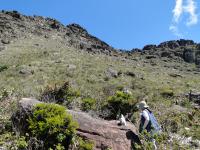 Area de antigos garimpos com a presença de veios de quartzo auríferos. Foto: Rogério Valença Ferrreira