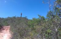 Figura 3 - Vista do Pico de Itacolomy a partir do sudeste (foto de Horn, 2019)..