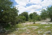 Vista complementar da área do afloramento a norte da estrada. Foto:Antônio José Dourado Rocha, 2015.