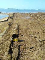 Lavas em corda com interior oco, formando tubo. Foto: Caio Turbay, em maio de 2020.