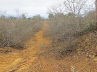 Estrada secundária onde localiza-se a dolina do Buraco do Alecrim. Foto; Violeta de Souza Martins, 2019.