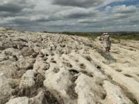 Afloramento horizontal do Metanortosito do Boqueirão, formando um micro-relevo pseudocárstico, com inúmeras cavidades escavadas na rocha. Próximo à escala humana ocorre uma soleira (concordante) de rocha gabróica. Foto: Rogério Valença Ferreira.