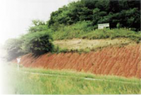 Corte de estrada, afloramento “Faixa Nova” (Santa Maria, RS). Barbarena et. al. (2020)