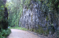 Talude de corte, sustentado por metacalcário