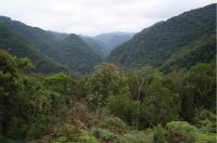 Vale do Betari, visto a partir do Núcleo Santana, onde se localiza a caverna Geossítio. 