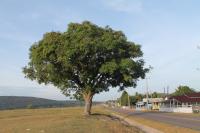 Vista parcial da vila do Paiva.