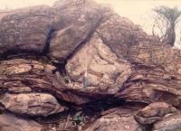 Panorama dos estromatólitos colunares intercalados ás camadas de siltitos. Fonte: Antônio J. Dourado Rocha, 1996.