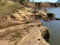 O sítio da geodiversidade fica nas margens do rio Soturno que sofre com a erosão de margem, este processo favorece o afloramento de fósseis de coníferas. O relevo é de planície fluvial plano e baixo e a ocupação é por extensas áreas de agricultura. (Autor: Michel Godoy/2009)